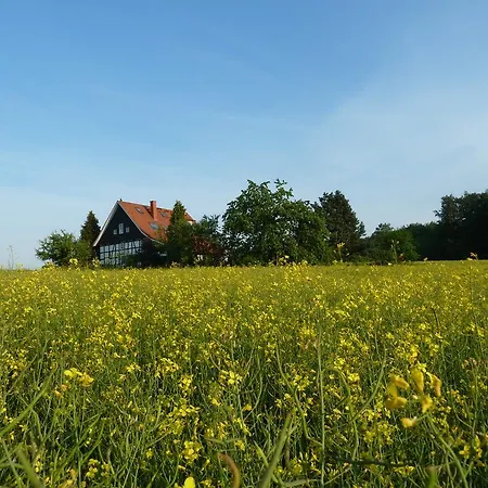 Apartment Gästehaus Bei Veronica