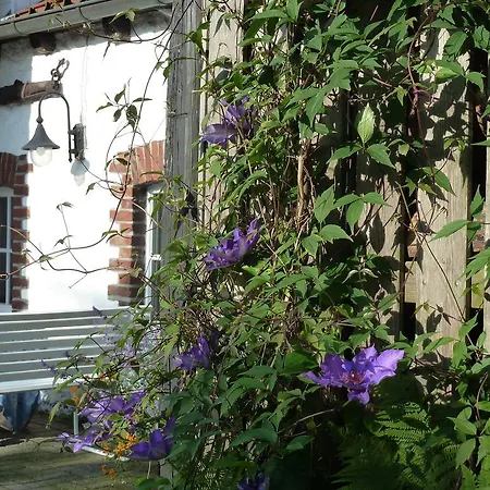 Apartment Gästehaus Bei Veronica Borgholzhausen